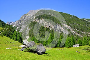 Summer landscape in Switzerland Alps - Park Ela, canton Graubunden photo