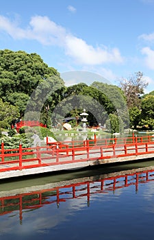 Summer Japanese garden. Landscape .