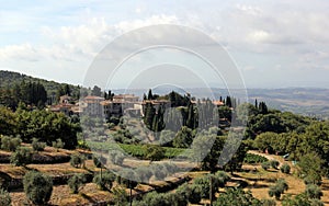 Summer landscape in Tuscany, around the town of Panzano, olive groves and vineyards, Chianti, Italy