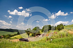 Summer Landscape Unterbodnitz