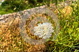 Summer landscape in Val d`Agri, Basilicata