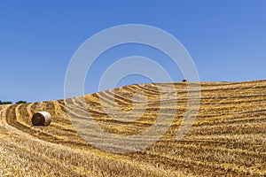 Summer landscape in Val d`Agri, Basilicata