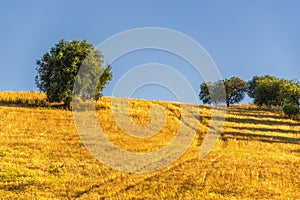 Summer landscape in Val d`Agri, Basilicata