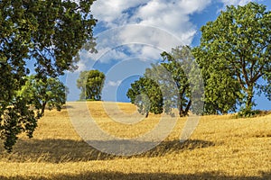 Summer landscape in Val d`Agri, Basilicata