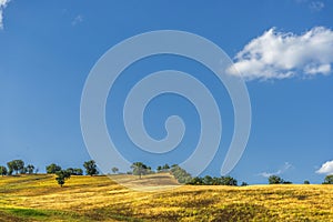 Summer landscape in Val d`Agri, Basilicata