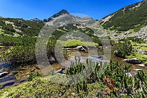 Summer landscape with Valyavitsa river and Valyavishki chukar peak, Pirin Mountain, Bulgaria