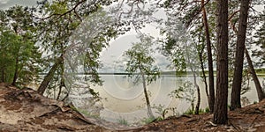 summer landscape. view through the branches of the coastal trees to the lake