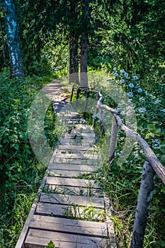 Summer landscape view with pathway and wooden staircase.