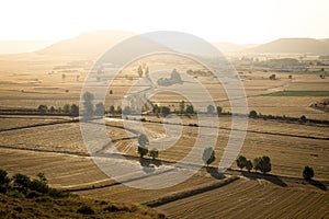 Summer landscape with a view to Castrojeriz from the alto de Mostelares at sunrise, Burgos, Spain