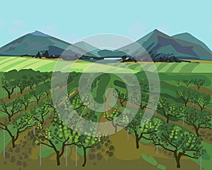 Summer landscape with vineyard, mountains on horizon and blue sky