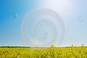 Summer landscape for wallpaper. Yellow rapeseed field, soap bubbles against a blue sky with clouds