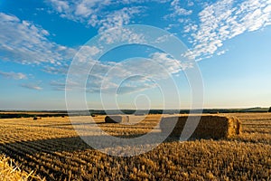 Summer Landscape with Wheat Field At Sunset