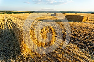 Summer Landscape with Wheat Field At Sunset