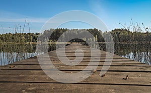 Summer landscape with wood long jetty or wooden pier in perspective, way over lake or river, forest on horizon and clear