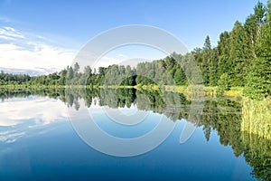 Summer landscape on woodland lake, Podlasie, Poland.