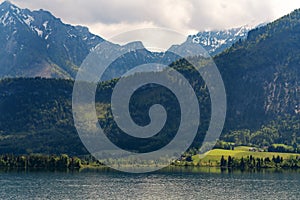 Summer landscaped, Green forest with mountain and lake at Hallstatt, Austria in summer