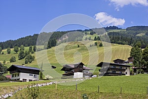 Summer lanscape in Austrian alps
