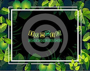 Summer leaf backgrounds