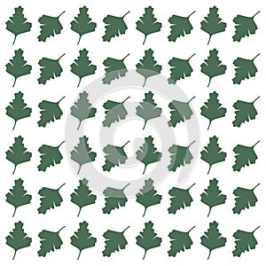 SUMMER LEAVES PATTERN TEXTURE