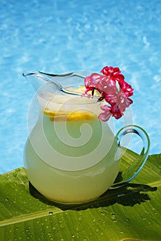 Summer Lemonade