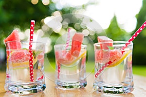 Summer Lemonade with slices of watermelon, lemon and garnished with fresh mint