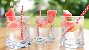 Summer Lemonade with slices of watermelon, lemon and garnished with fresh mint