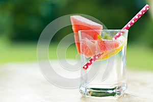 Summer Lemonade with slices of watermelon, lemon and garnished with fresh mint
