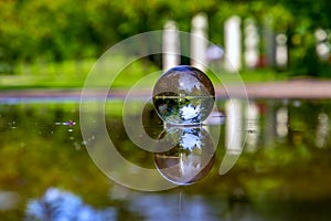 Summer Lensball Reflections In A Puddle