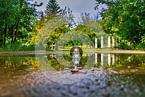 Summer Lensball Reflections In A Puddle