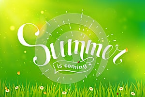 Summer lettering on green background.