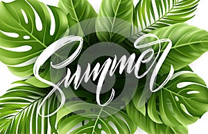 Summer lettering on palm leaf background. Vector illustration