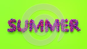 Summer lettering in vitamin colors