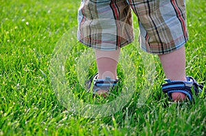 Summer - Little Boys Feet Standing in Green Grass