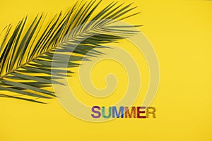 summer love on pastel background with palm tree leaf