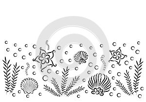 Summer marine composition: shells, seaweed, bubbles and starfish. Sea. Hello summer.