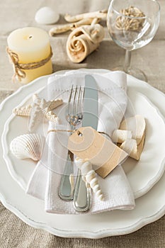 Summer marine style table setting