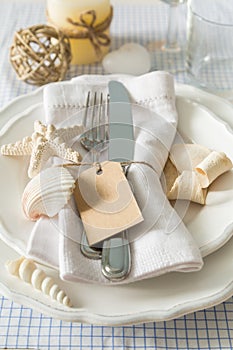 Summer marine style table setting