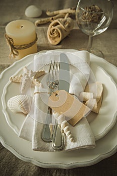 Summer marine style table setting