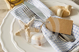 Summer marine style table setting