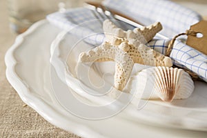 Summer marine style table setting