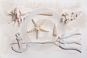 Summer maritime decoration with starfish, anchor and sea shells