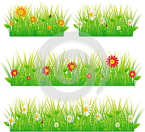 Summer meadow beautiful.