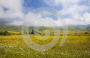 Summer meadow and deep blue sky