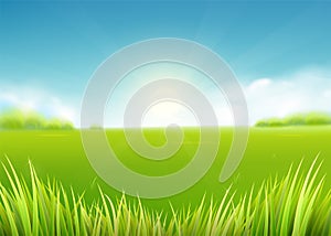Summer meadow field. Nature background with sun, sunny rays, grass landscape
