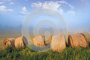 Summer meadow with hay rolls on cloudy and hazy morning in the village