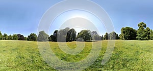 Summer meadow panorama