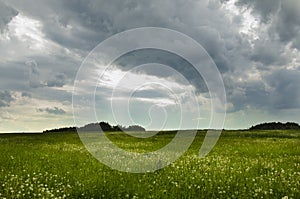 Summer meadow in PelhÅ™imov, Czech Republic