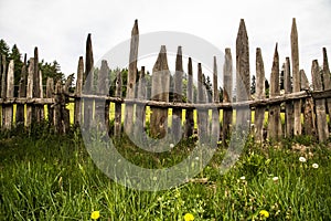 Summer meadow with rustic self-built wooden fence