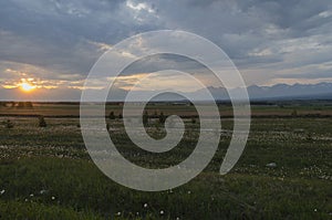 Summer meadow at sunset. Tunkinskaya valley, Buryatia