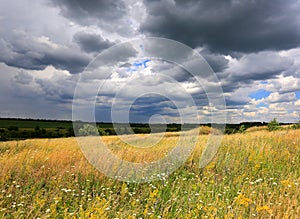 Summer meadow under dark clouds